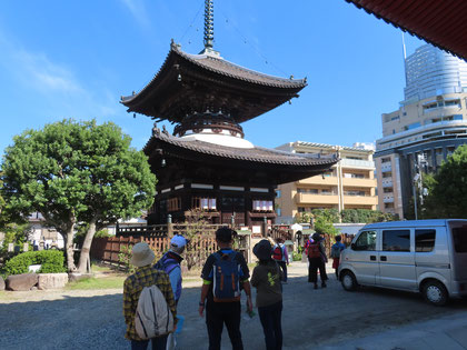 勝鬘院(通称・愛染堂）多宝塔は文禄３年（１５９４）に秀吉が再建、内部は極彩色で多宝塔本尊が奉安されてます。