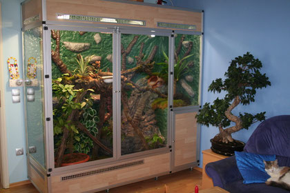 Terrarium unserer Fidschis mit 2x2x0,8m