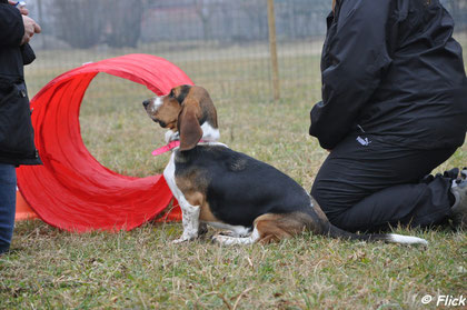 Luna, il tubo e lo shaping... foto di Flick Mazzoleni