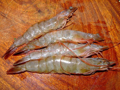 La première recette :  se fait avec 20 cl d'eau gazeuse très froide,  100 gr de farine et un jaune d’œuf.  Préparer un saladier dans lequel tu mets des glaçons,  Poser un autre saladier dessous et tu 