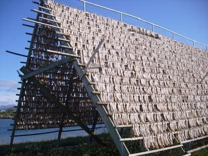Stockfish