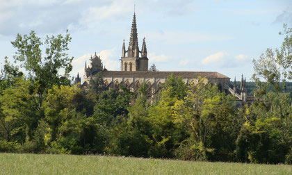 2010, Cathédrale de Bazas, vue du plateau.