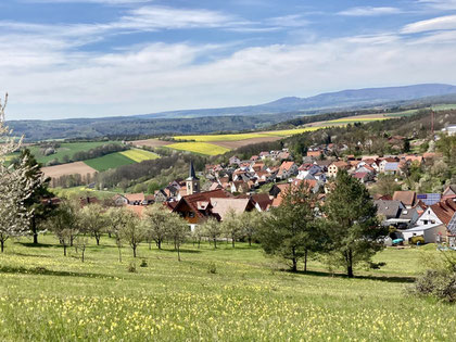 Blick über Haard im Frühjahr