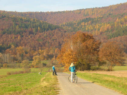 Besonders der Herbst ist in Bad Bocklet einmalig!
