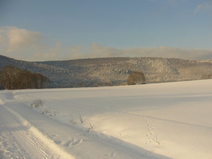 Eine wunderschöne Winterlandschaft!