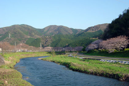 The river through The Village