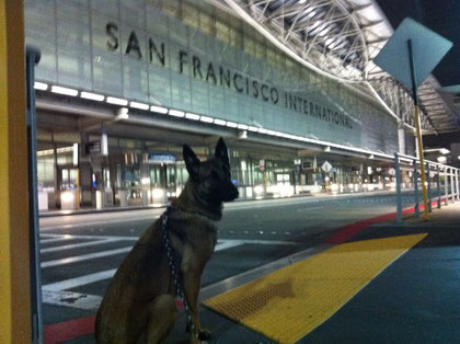 Fröken B du DRDJ en voyage à San Francisco USA (vie sinon en Norvège)