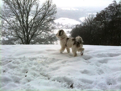 Endlich wieder Schnee!!!