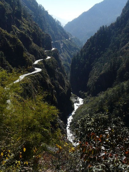 Dans la descente vers le Nepal, la vegetation refait son apparition