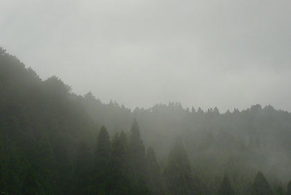 梅雨の最中