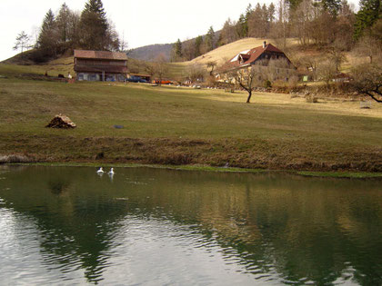 La ferme, la retenue d'eau