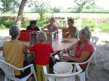 préparation des abricots pour la confiture
