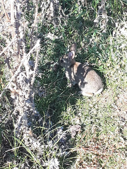 Rencontre avec un charmant... Polop Polop