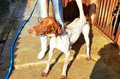 NESKA, ADOPTADA