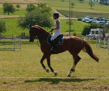 Galopp