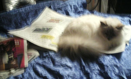 ehm die Zeitung wollte ich eigentlich lesen :-)