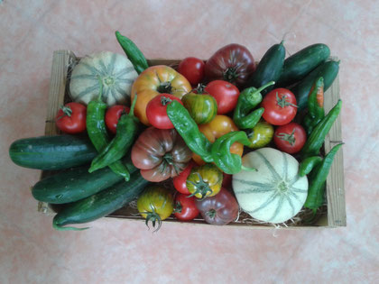 Panel d'une partie des légumes d'été  bio de l'ESAT