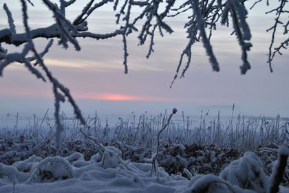 Abenddämmerung in der verschneiten Wesermarsch