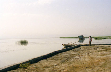 Bosten Lake, the biggest freshwater lake in Xinjiang which covers approximate 1,000 square kilometers. Click on this picture and then see satellite image of Bosten lake. Photo by T. Ishiyama.