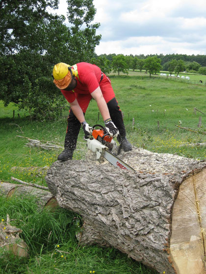 Stihl 090 AV