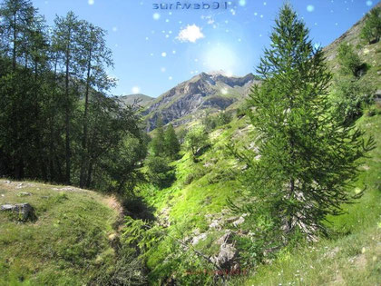 Parc du Mercantour