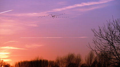 Abendstimmung am Mühlensee
