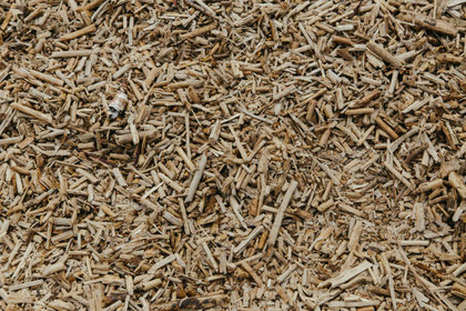 Close-up of wood chips spread on the ground as a covering.