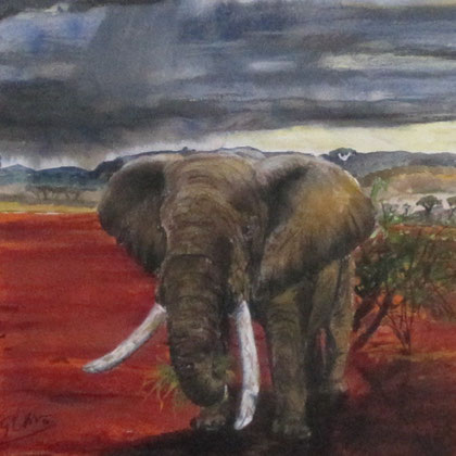 Big tusker