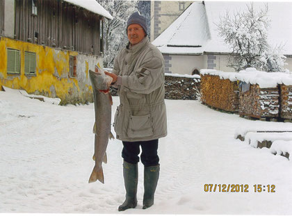 Huchen mit Petrijünger Kassin 7. 12. 2012