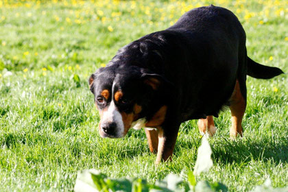 der Bauch ist schon wirklich sehr groß