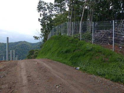 緑化土木事業　施工事例　アフター