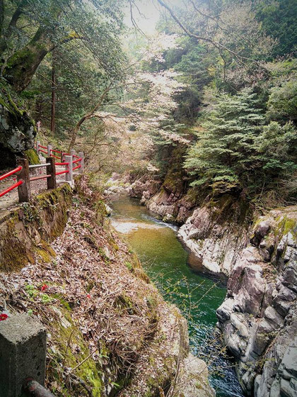 新緑の三段峡