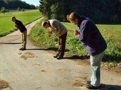 Die Übung beginnt...