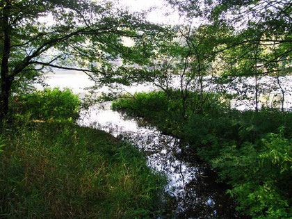 Herrensee in Litschau/Niederösterreich