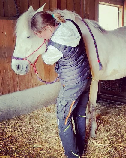Pferd Osteopathische Behandlung 