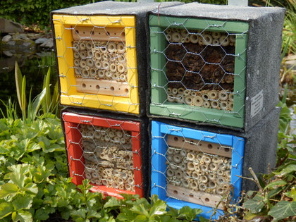 Mini gelb, blau, rot oder grün mit unterschiedlichem Füllmaterialien