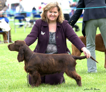 "Elgert Rumour Has It", aka Albert at the age of 6 months, Photo: Deborah Stone