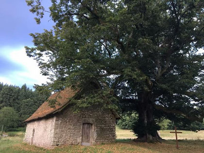 La chapelle du Mas St Jean en été avec son tilleul et sa croix, lieu emblématique du patrimoine médiéval de la région