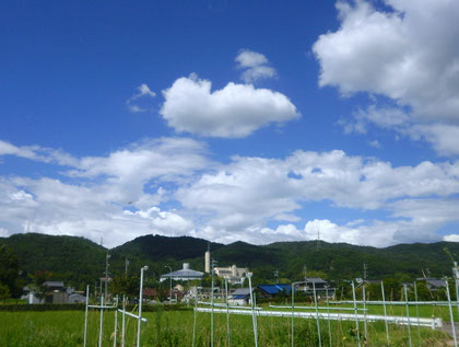 素晴らしい青空♪