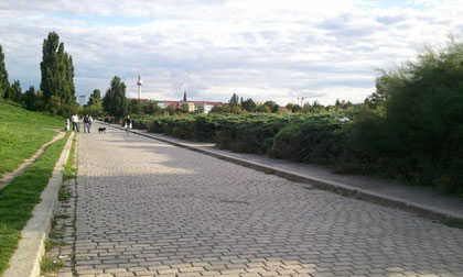 Pflasterstrasse durch den Mauerpark
