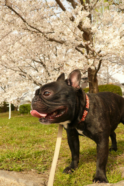 人がいっぱいだな