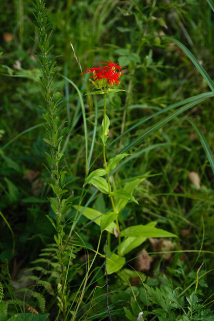 2011.09.12　長野県