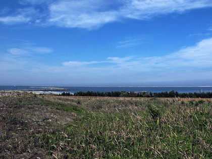 ひたちなか市の海岸