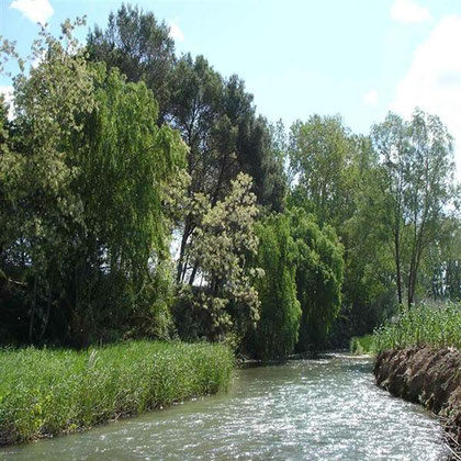 El tramo de río Turia englobado dentro del Parque Natural tiene una longitud de 35 kilómetros y actúa como eje vertebrador del mismo al tiempo que como corredor biológico.