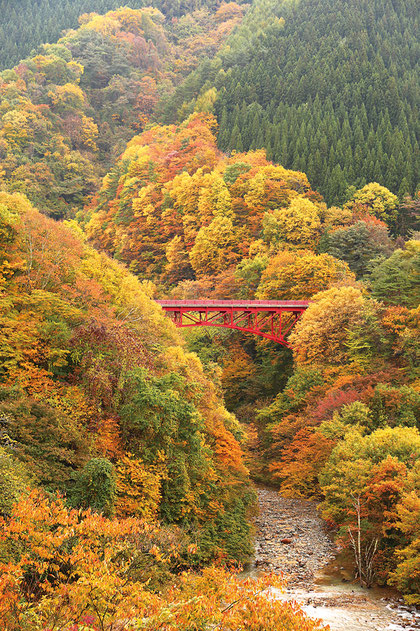 画像提供：信州高山村観光協会