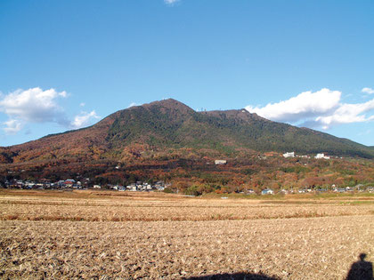 提供：つくば市