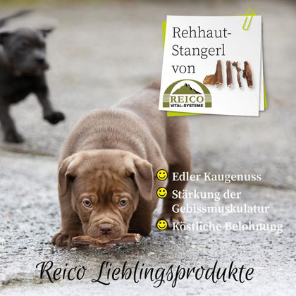 Ein Edler Kaugenuss für jeden Hund Rehhaut-Stangerl von Reico Vital. Reico`s Rehhaut-Stangerl sind nicht nur eine köstliche Belohnung für den Hund,  sondern stärkt auch die Gebissmuskulatur deines Hundes.