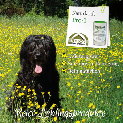 Naturkraft Pro-1 Ergänzungsfuttermittel zur allgemeinen inneren Reinigung