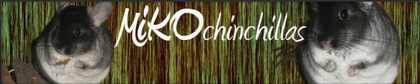 MikoChinchillas. De mi amiga Noe =)