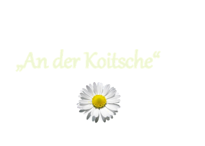 kgv-koitsches Webseite!